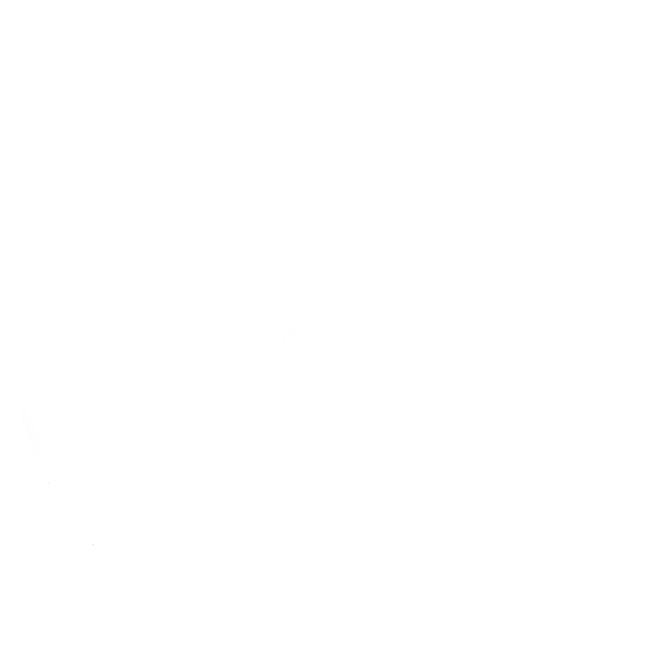 Orfestra Logo